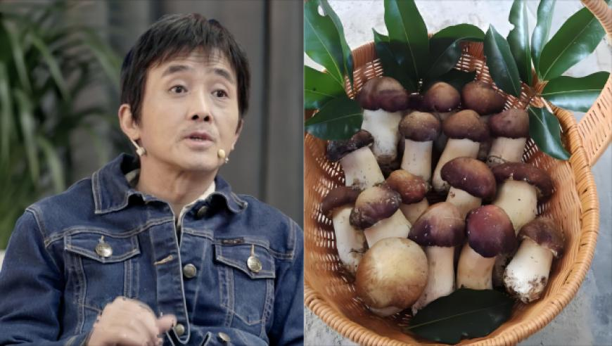香港澳门六开彩开奖现场,叙利亚起义军为何有如此强悍战斗力,最新正品解答落实_手游版V3.85
