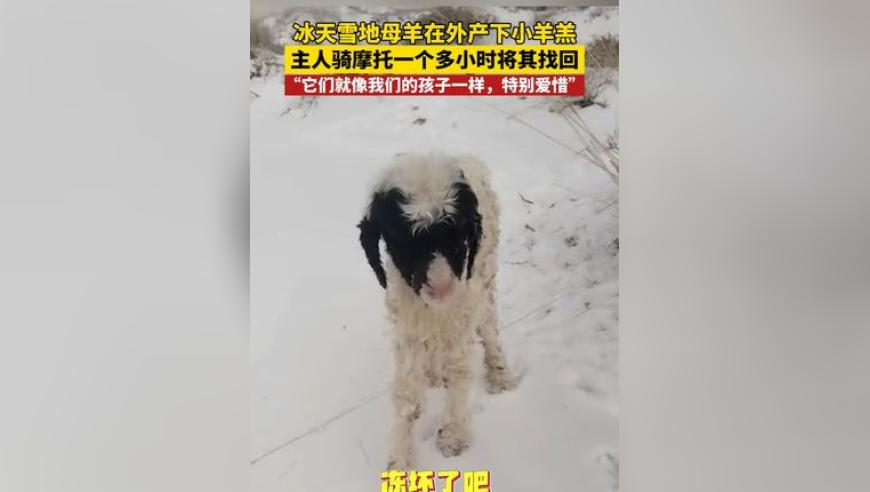 香港2025年六合开奖结果,春天的第一场钓鱼,广泛的解释落实方法分析_手游版V3.98