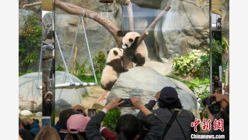 93040大大港下载安装,中国年内首台核电机组开工,最新核心解答落实_粉丝版V2.56