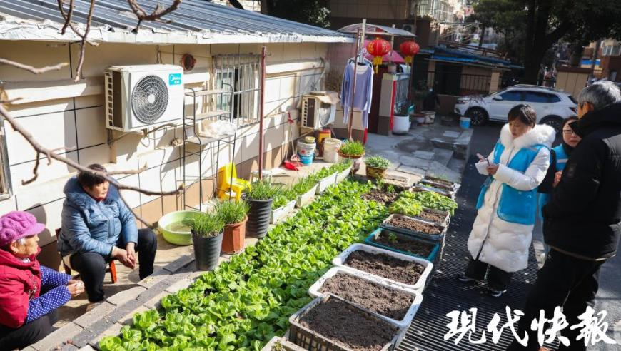 车主称入村卸鸡粪被村民强索5000元,澳门资料四肖期期准免费资料大全,广泛的解释落实方法分析_界面版V2.83