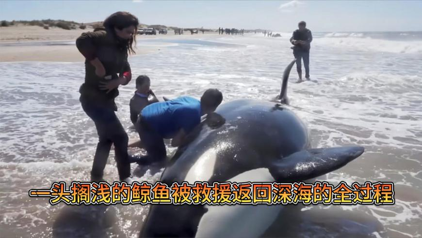 长和港口买方贝莱德首次回应争议,新澳门今晚开奖结果开奖直播,展开计划实施_储蓄版V7.21